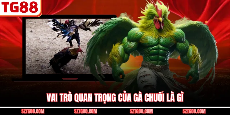 Vai trò quan trọng của gà chuối là gì